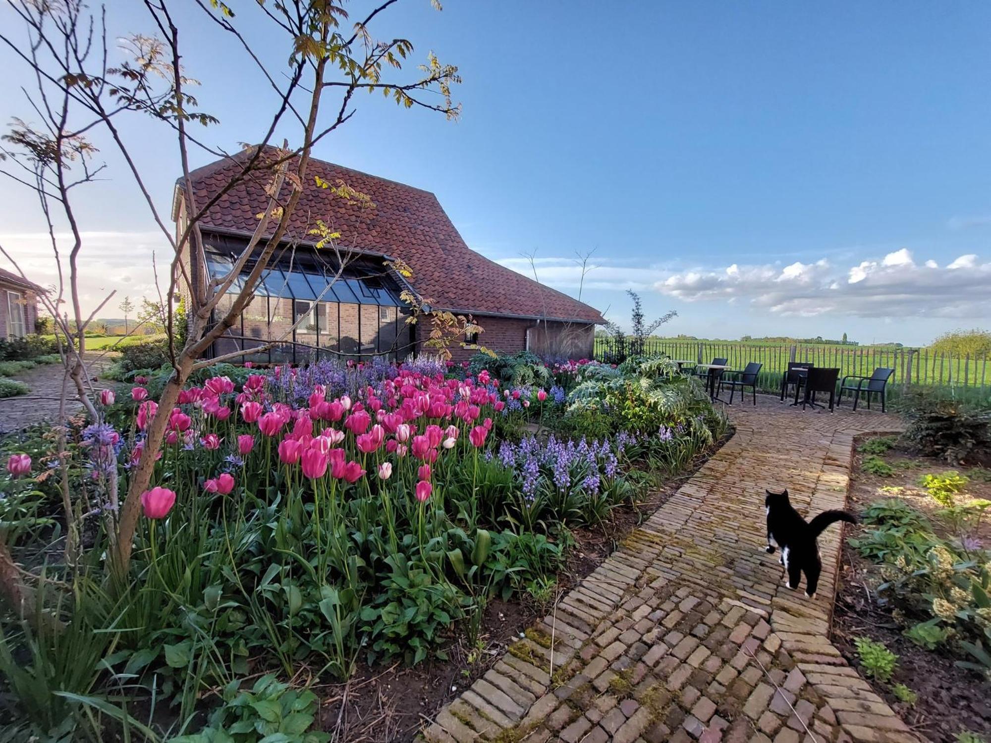 B&B Stefans Pottery Поперинге Екстериор снимка