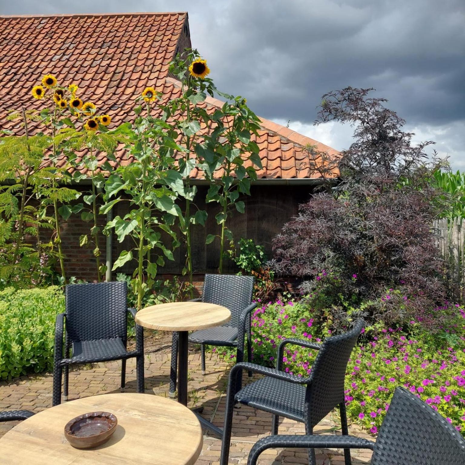 B&B Stefans Pottery Поперинге Екстериор снимка